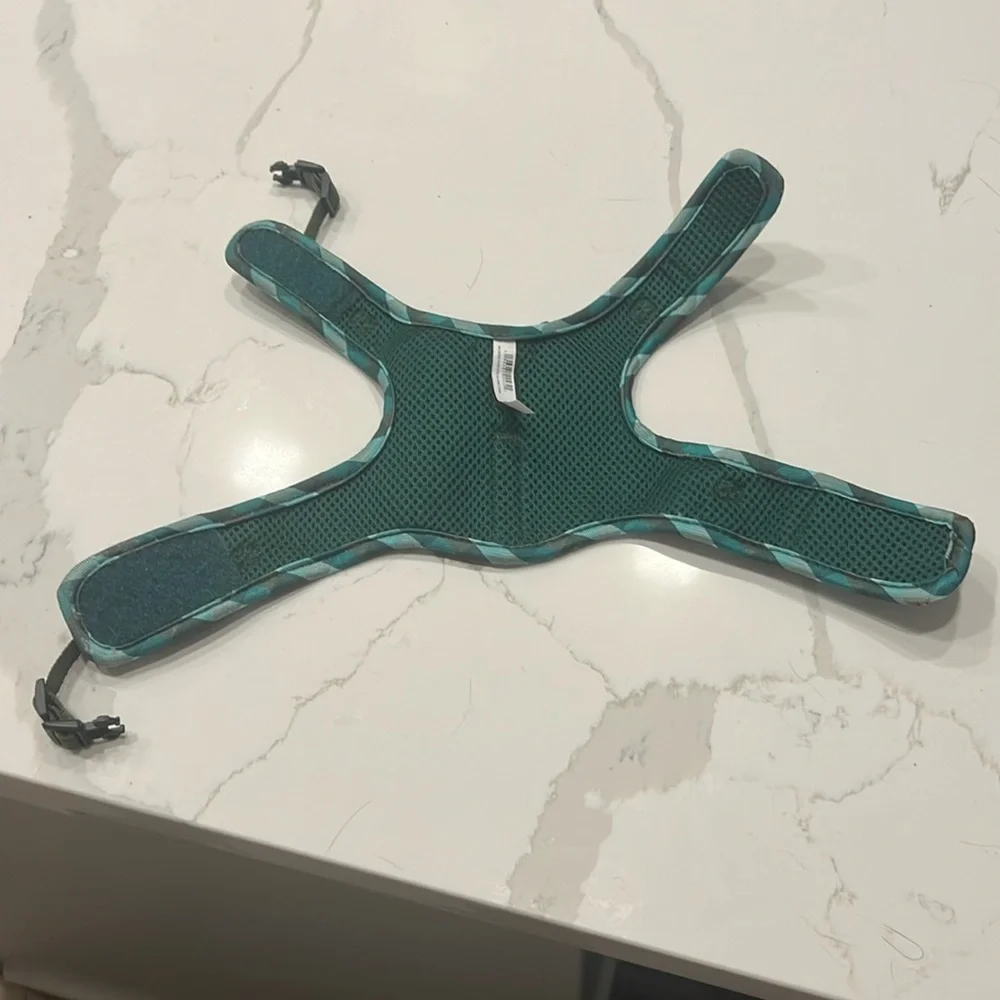 Harness and leash for cats